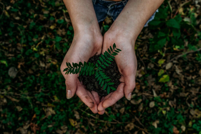 Ecolinguistica
